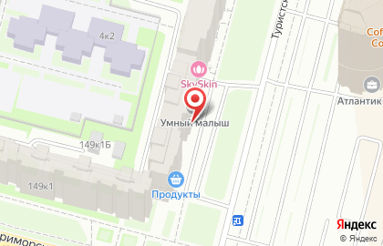 Центр детского развития Умный малыш в Санкт-Петербурге на карте
