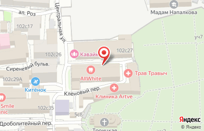 Iris Travel Group на карте