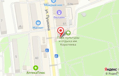 Киоск фастфудной продукции на улице Пушкина на карте