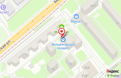 Ветеринарная клиника Ветеринарный лазарет на Московской улице на карте