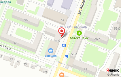 Аптека Сердце Брянска на улице Молодой Гвардии на карте