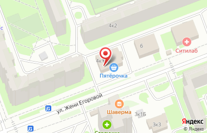 Магазин зоотоваров на улице Жени Егоровой на карте