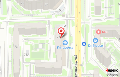 Магазин разливных напитков BeerHouse на улице Чернышевского на карте