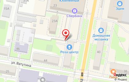 Алси на проспекте Чкалова на карте