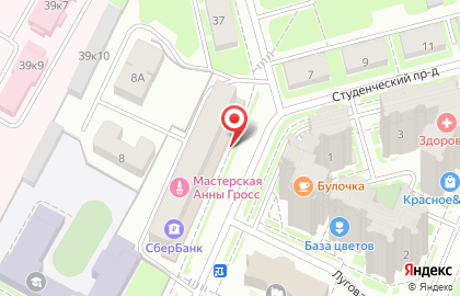 Страховая компания РЕСО-Гарантия в Студенческом проезде в Ивантеевке на карте