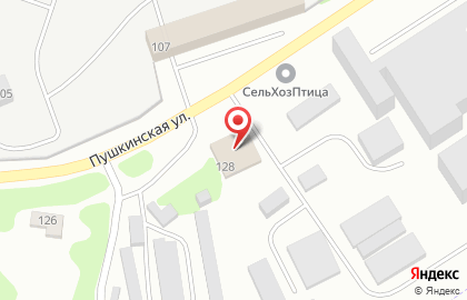 Дисконтная шиномонтажная мастерская Pit-Stop на Пушкинской улице на карте