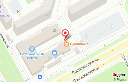 Киоск по продаже фруктов и овощей на Лососинском шоссе на карте