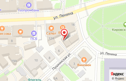 Салют на улице Ленина на карте