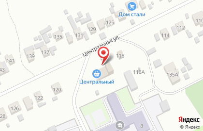 Магазин Центральный на Центральной улице на карте