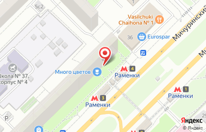 Магазин Много Цветов на Мичуринском проспекте на карте
