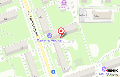 Ирина на улице Грибоедова на карте