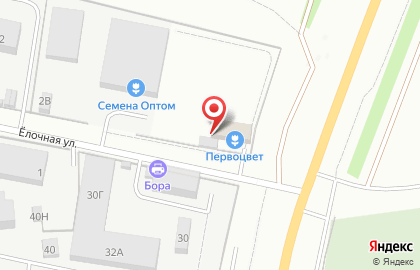 Садовый центр Первоцвет в Кирове на карте