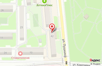 Мастерская резки стекла Умелец на улице Пушкина на карте