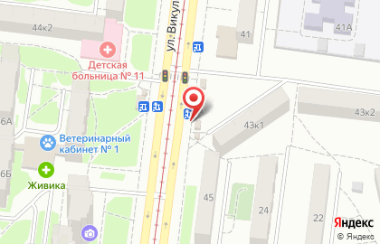 Киоск по продаже фруктов и овощей на улице Викулова 43/1 на карте