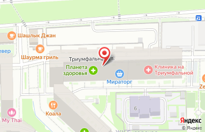 Агентство по автострахованию Tiger на Триумфальной улице на карте
