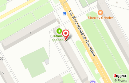 Магазин зоотоваров Кеша на улице Космонавта Леонова на карте