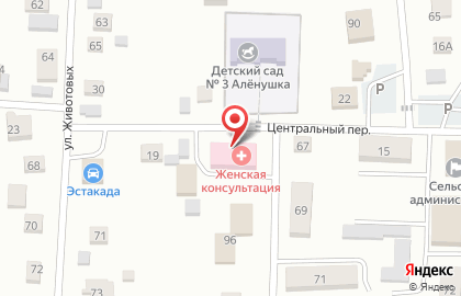 Советская центральная районная больница в Центральном переулке на карте