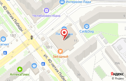 Магазин Зоомир на улице 250-летия Челябинска на карте