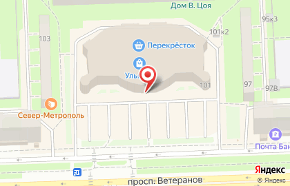 Центр бытовых услуг Карл Иваныч на проспекте Ветеранов на карте