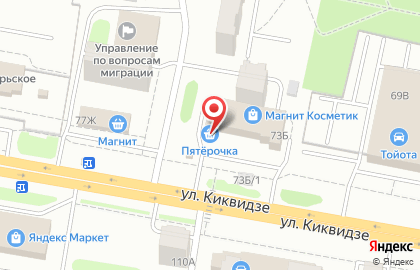 Зоомагазин Осьминожка на улице Киквидзе на карте