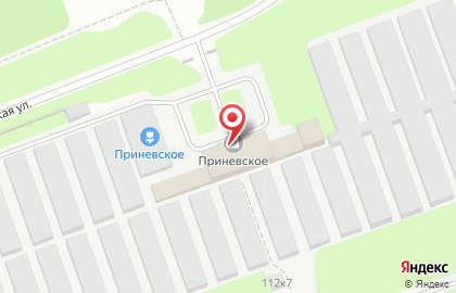 Приневское, Племенной Завод на карте