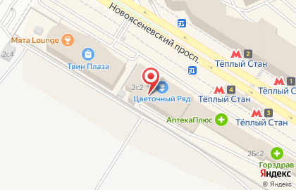 Стоп-кадр на улице Новоясеневский на карте