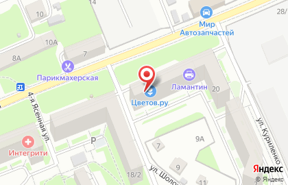 Торгово-сервисная компания IRBIS Technology на карте