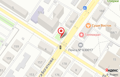 Мобильный шиномонтаж на улице Бориса Богаткова на карте