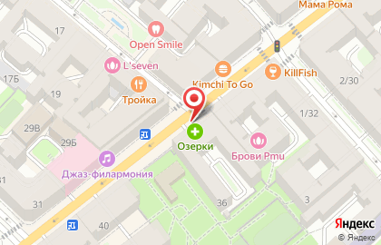 Аптека Озерки в Санкт-Петербурге на карте