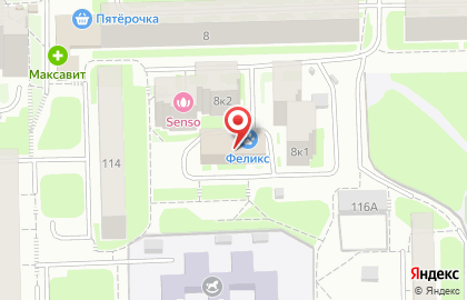 Ветеринарная клиника Феликс в Нижнем Новгороде на карте