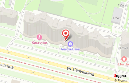 Центр имплантации и стоматологии ИНТАН на улице Савушкина на карте