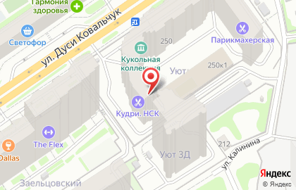 Студия Кудри.Нск на карте