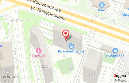 Торговая компания Дрегер на улице Кошурникова на карте