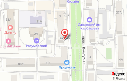 Технологии безопасности на проспекте Культуры на карте