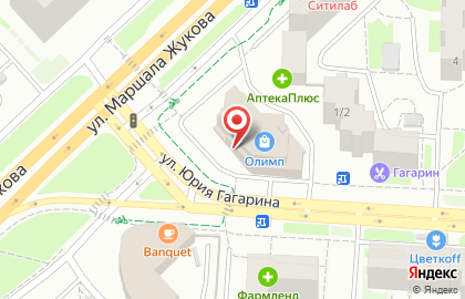 ТЦ Олимп на улице Юрия Гагарина на карте