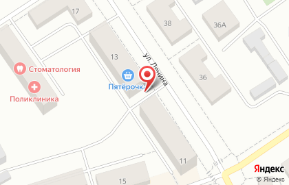 Магазин свежего мяса на улице Ленина на карте