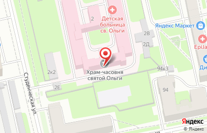 Детская городская больница Святой Ольги в Санкт-Петербурге на карте
