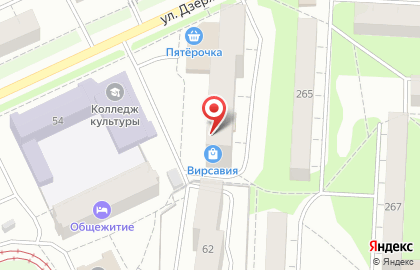 Зоомагазин Котофей на улице Дзержинского на карте