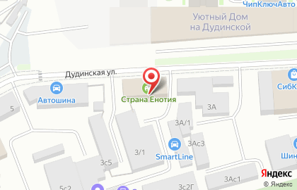 Типография Спринт на Дудинской улице на карте
