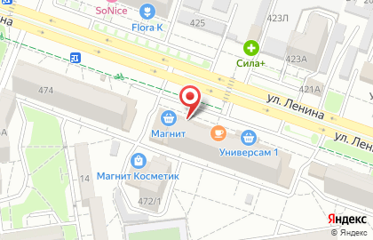 Зооцентр Лемуррр на улице Ленина на карте
