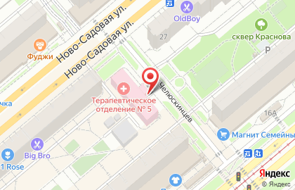 Аптека Милана на улице Челюскинцев на карте