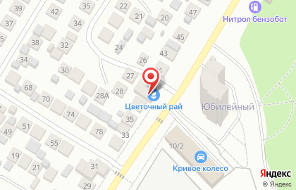 Торговая компания Цветочный рай в Центральном районе на карте