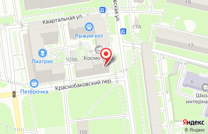 Торговая фирма Русский проект на Берёзовской улице на карте
