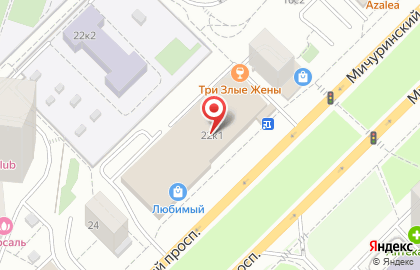 Сервисный центр Mr.Apple на Мичуринском проспекте, 22 к 1 на карте