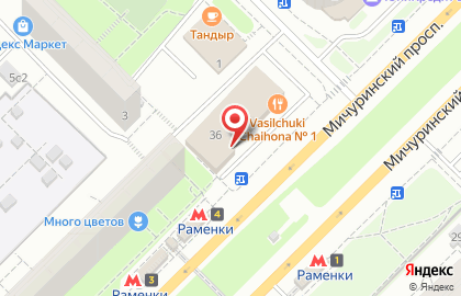 Логопедический центр Сонор Раменки на Мичуринском проспекте на карте