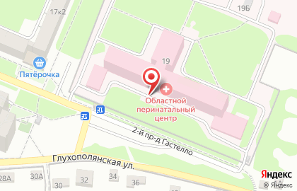 Медико-генетический центр в Пролетарском районе на карте