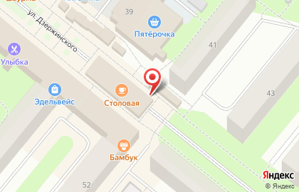 Торговый павильон на улице Дзержинского на карте