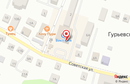 Аптека МедТорг на Красной улице в Гурьевске на карте