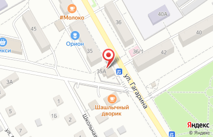 Зоомагазин Мотя на улице Гагарина на карте