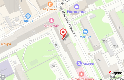 Центр автоматизации ИТ-Терминал на улице Максима Горького на карте
